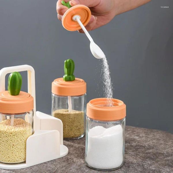 Set di pentole Set di combinazioni di bottiglie di condimento per scatola di aromi di sale da cucina per cactus