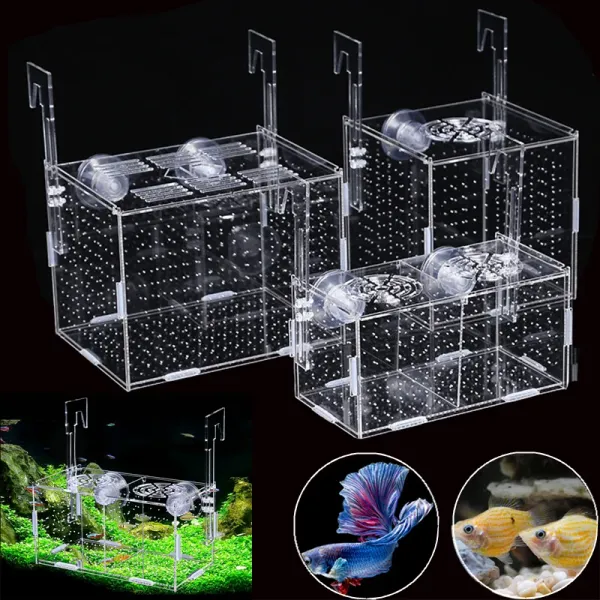 Ferramentas acrílico caixa de isolamento de criação de tanque de peixes aquário incubadora suporte pequeno rede de isolamento de peixes acessórios para aquário doméstico