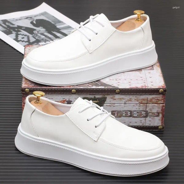 Scarpe casual Scarpe basse da uomo stile coreano Stringate Scarpe derby in pelle originali Sneakers con plateau bianche blu Calzature traspiranti Zapato