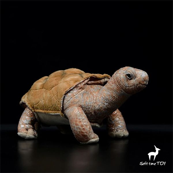 Galapagos-Schildkröte, Anime, niedliche Plüschschildkröten, Plüschtiere, lebensechte Tiere, Simulation, Stoffpuppe, Kawai-Spielzeug, Geschenke 240321