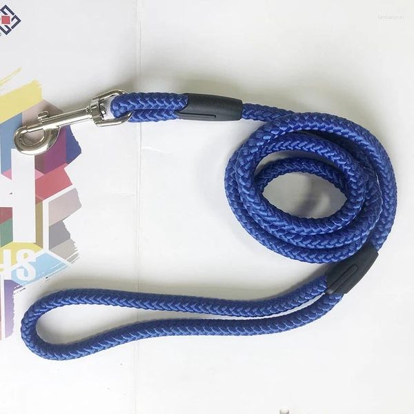 Collari per cani Guinzaglio di tracciamento Guinzagli lunghi in nylon Corda Guinzagli da passeggio per addestramento animali domestici 2m 3m 5m Per cani di taglia media antiscivolo COLORE BLU