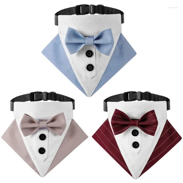 Abbigliamento per cani 448B Elegante collare per gatti con papillon e fazzoletto al collo, collana - Grande ragazza carina