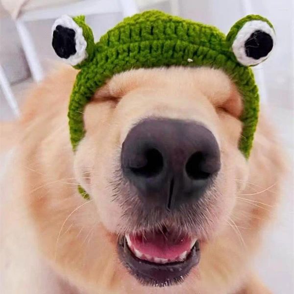 Abbigliamento per cani Comodo cappello per animali domestici Decorazione per occhi di rana 3D lavorato a mano Copricapo carino per l'autunno inverno Piccole forniture per gatti dei cartoni animati