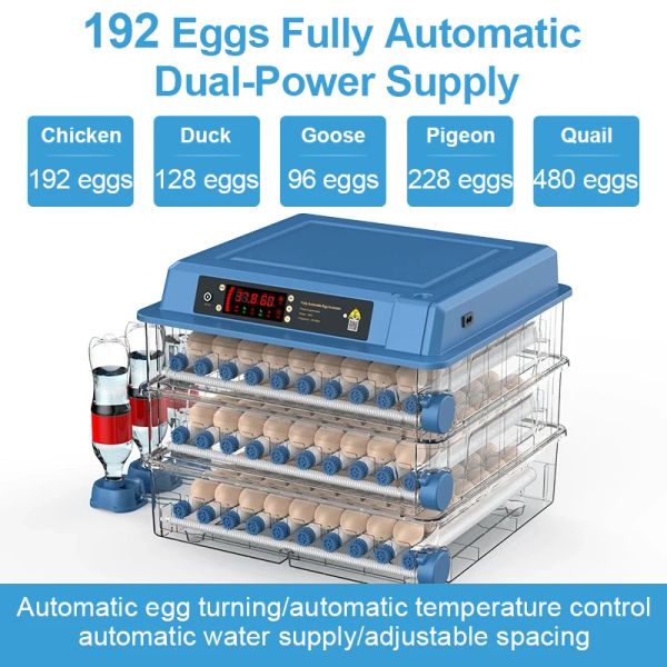 Acessórios Mini Incubadora de Ovos com Tipo Gaveta, Incubadora Automática de Água, Reabastecimento de Leito Iônico e Controle de Temperatura, 192 Ovos