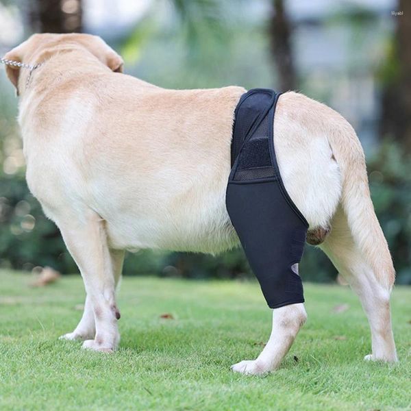 Cão vestuário pet lesão perna cinta cinta proteção conjunta bandagem envoltório suprimentos para reduzir a dor acessórios