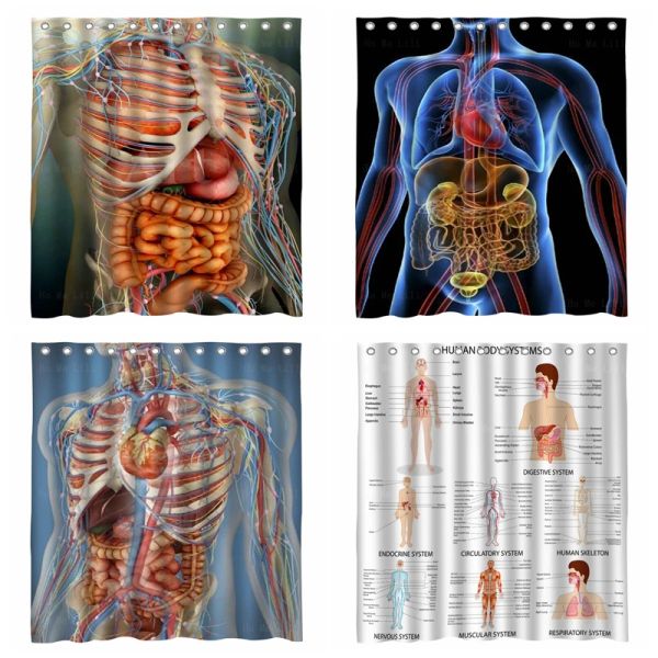 Cortinas corpo 3d anatomia atlas humanos órgãos inteiros e ossos perspectiva cortina de chuveiro por ho me lili para decoração do banheiro