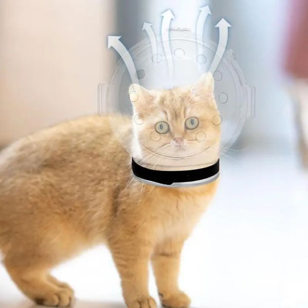 Уход за кошачьими кошками шлем с котенок защитный шарик дышащий шарико