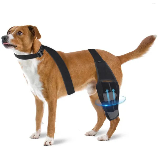 Abbigliamento per cani Gamba per ginocchio Pet regolabile per accessori avvolgenti Supporta cuscinetti di protezione Tutori per cinghie di supporto per cani