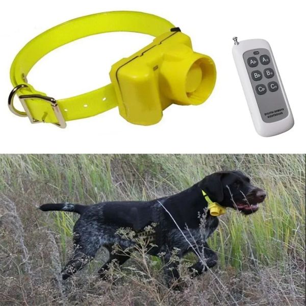 Collari Nuovo collare per cani da caccia impermeabile per esterni Collare per segnale acustico con cicalino per addestramento con telecomando IP65 impermeabile per cane