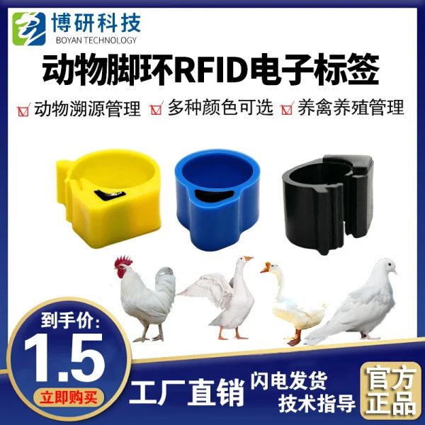 Microchip 20 pz Rfid Animale Cavigliera Pollo Anatra Oca Piccione Pollame Cavigliera Elettronica tk4100 Etichetta Chip Allevamento Monitoraggio Cavigliera