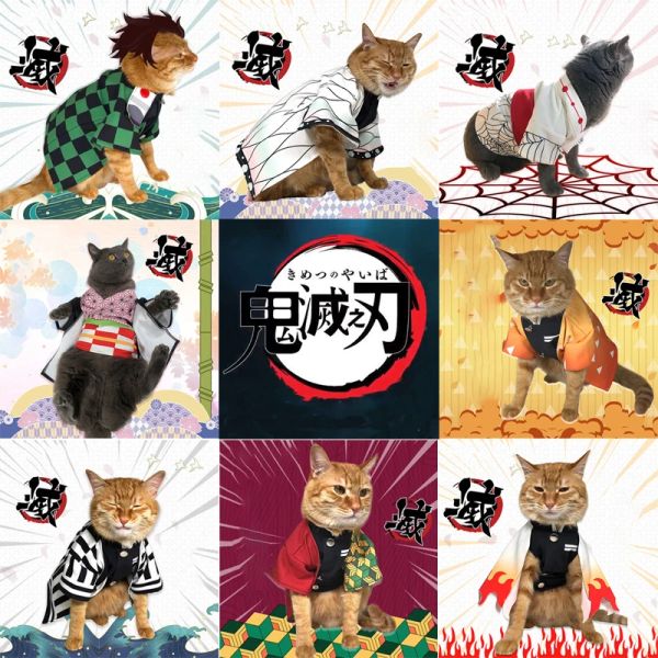 Abbigliamento Demone Slayer Cosplay Vestiti per gatti Costumi Kigurumi Vestito per animatore Vestito da ragno Chat Fantasia Fantasia Pet Dog Travestimento Capo