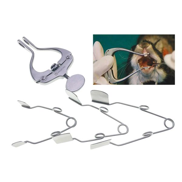 Strumenti Professionale Roditore Ratto Coniglio Strumento per odontoiatria dentale Dilatatore per guance buccali Speculum per cavità metalliche Esami orali Apribocca