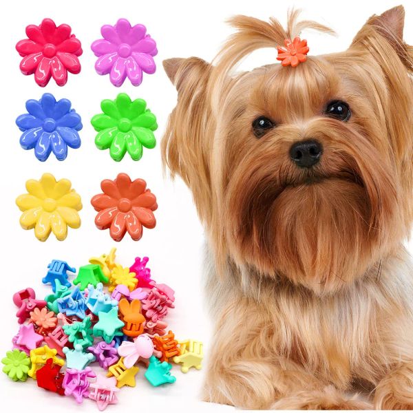 Accessori 100/200/500PCS Piccolo Cane Gatti Tornante Mini Corona Colorata Fermagli Per Capelli Per Cani Animali Domestici Moda Copricapo Accessori Per Capelli Per Cani