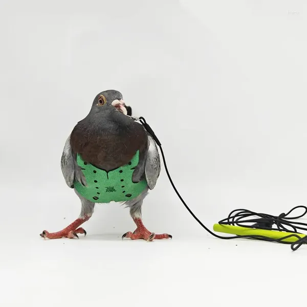 Andere Vogelzubehör Papageientaubengeschirr und Leine Fliegende Anti-Biss-Traktionsseilgurte Training Outdoor-Tragen Verstellbares Haustierprodukt