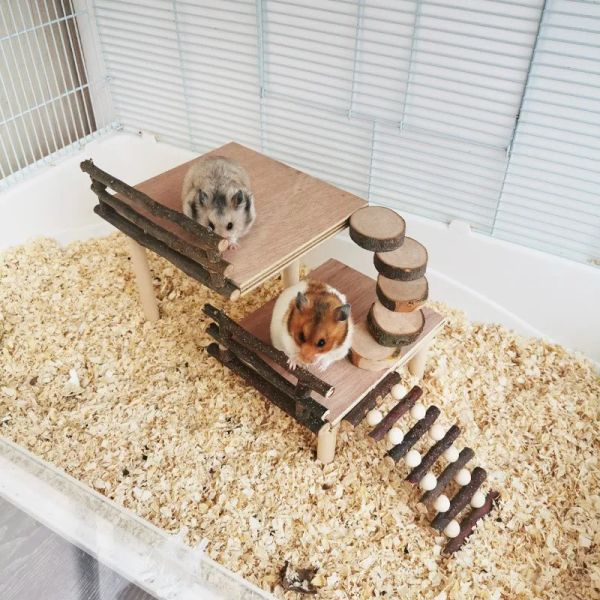 Giocattoli Criceto Giocattolo in legno Orso d'oro Piattaforma a due piani Scala Ramo di mela Recinzione Combinazione Accessori per la decorazione paesaggistica per animali domestici