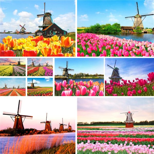 Zahl Landschaft Windmühle Tulpe DIY Malen Nach Zahlen Set Acrylfarben 40*50 Leinwand Bilder Home Dekoration Für Kinder für Zeichnung