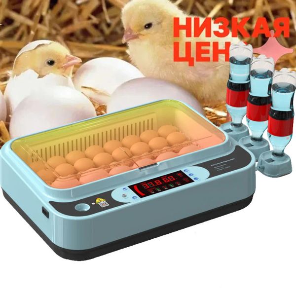 Zubehör 110/220V 15Eggs Inkubator Automatischer Brutapparat Bauernhof Kükenbrüterei Maschine Digitaler Eierinkubator Brüter für Gänsehuhnwachteln