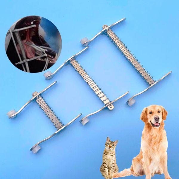 Strumenti Pet Gatto Animale Cane Apri bocca Divaricatore Dentale Esami orali Custodia Speculum Dilatatore buccale Cavità metallica Acciaio inossidabile