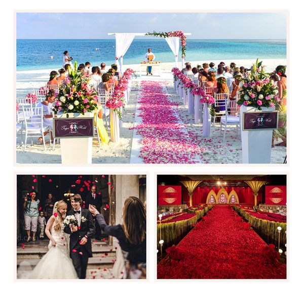 Düğün çiçekleri romantik sahte yapay ipek gül yaprakları kuru kurutulmuş çiçek nişan doğum günü düğün partisi dekorasyon 1000 adet/çanta