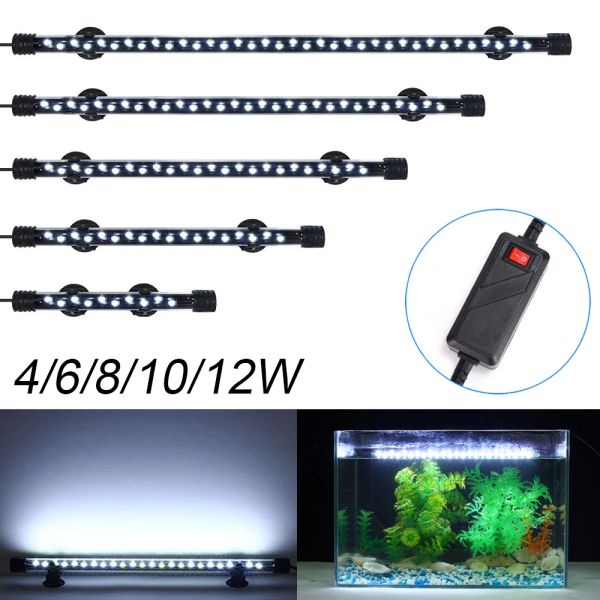 Illuminazione Luci per acquario impermeabili Piante Acquario Luce subacquea LED bianco Paesaggistica Acquari Decorazione Lampada sommergibile