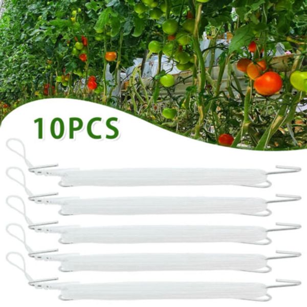 Suporta 10 pçs planta tomate suporte orelha gancho clipe plantas treliça jardim vegetal remendo frutas ganchos braçadeiras suprimentos de jardinagem corda de náilon