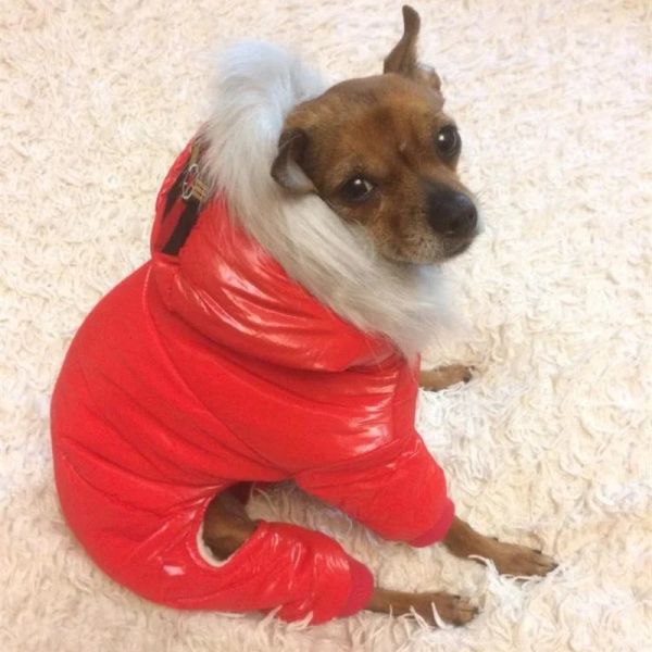 Jaquetas animais de estimação roupas para cães algodão rússia inverno engrossar trajes hoodies roupas à prova dwaterproof água para cães jaqueta teddy filhote de cachorro macacão sobretudo
