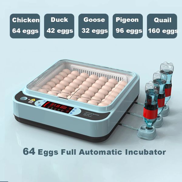 Acessórios 64 ovos frango pássaro incubadora ovos máquina de incubação para incubação frango pato codorna automático inteligente suprimentos fazenda