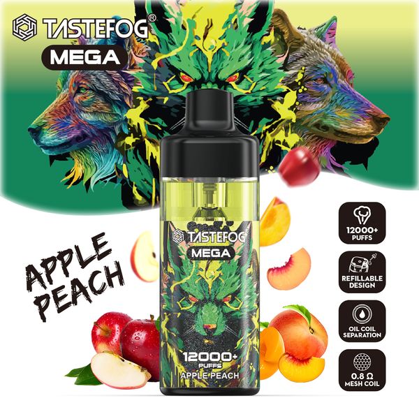 Tastefog Mega Großhandel 12000 Puffs Typ-C wiederaufladbarer Vape Pod E-Zigarette Luftstrom steuerbar