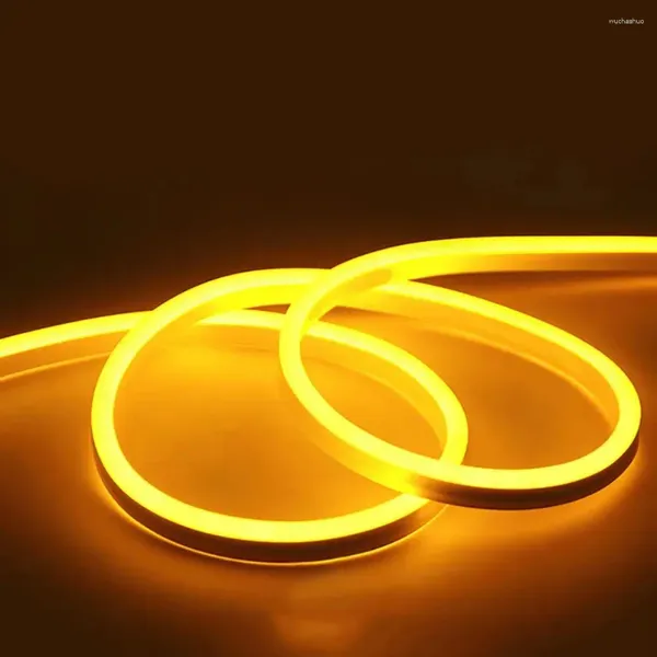 Dizeler Ana Dekorasyon LED Strip IP65 Su Geçirmez 5m Neon Işık DIY Düşük Voltaj Süper Parlak Yan Esnek Yumuşak