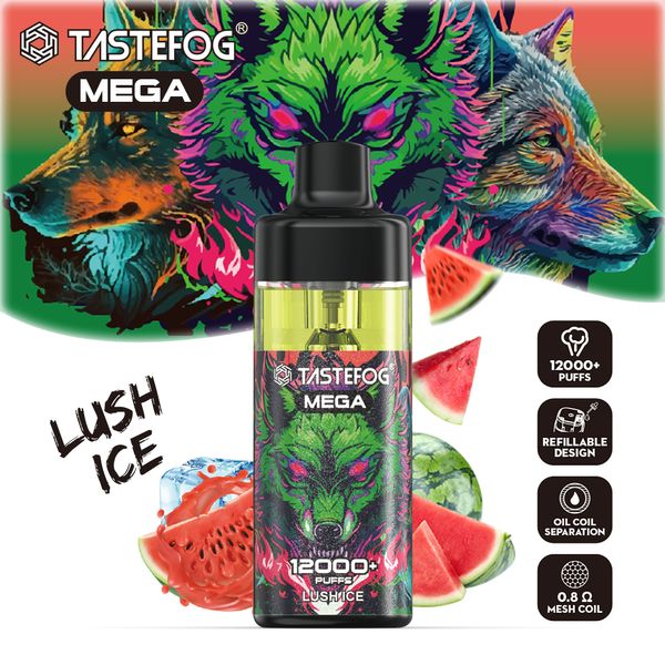 Tastefog Mega 12000 sbuffi all'ingrosso all'ingrosso ricaricabile e ricaricabile kit di baccello a e-sigaretta a vaporizzazione