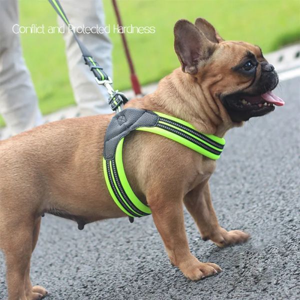 Pettorine Gilet riflettente Pettorina per cani Maglia morbida Imbottita per cani di grandi dimensioni Cintura toracica Pettorine Guinzaglio antideflagrante per cani di piccola taglia, media e grande