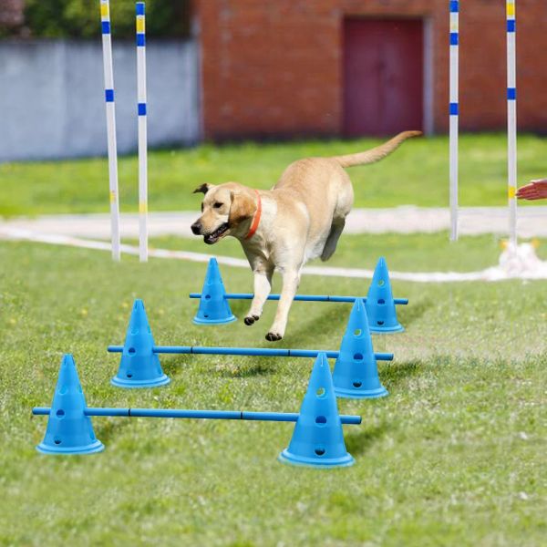 Equipamento 3 conjunto ao ar livre equipamento de treinamento do cão de estimação exercício do cão treinamento salto estacas esportes cães equipamentos agilidade suprimentos para animais de estimação