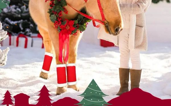 Träger Pferde-Weihnachts-Beinwickel, rote Pferde-Beinwickel, Kunstfell-Stehwickel für Pferde, Weihnachts-Pferde-Leggings, Sport-Reitstiefel