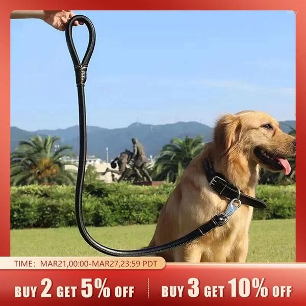 Collari per cani Set di guinzagli Tracolla in pelle PU resistente all'usura Collare per animali domestici Forniture Imbracatura Guinzagli da passeggio per