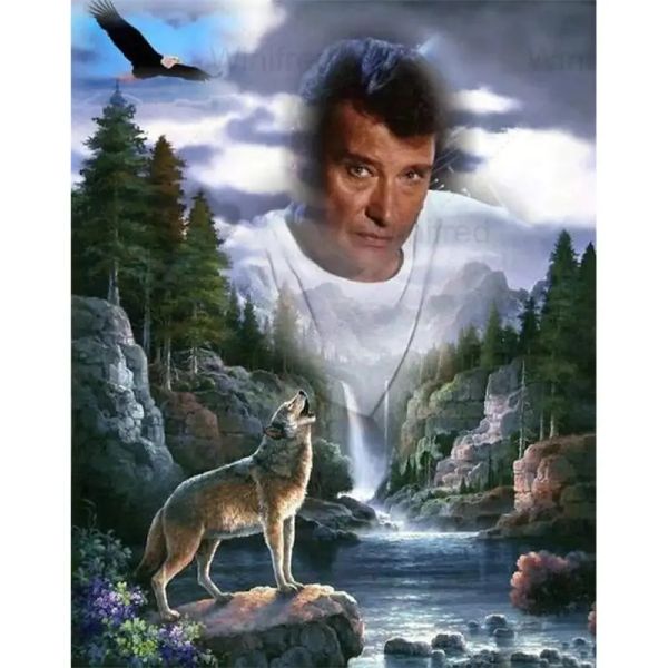 Стичка роскошная бриллиантовая вышивка 5D DIY Wolf Eagle Johnny Hallyday Diamond Paint