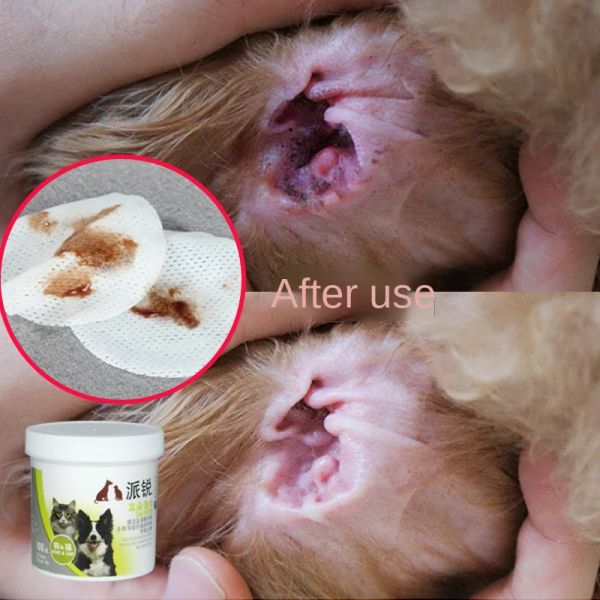 Mendil 100pcs Pet Ear Mendil Kedi Köpek Oyuncak Yavrular Islak Temizlik Earwax Parvovirüs Cilt Bakımı Malzemeleri