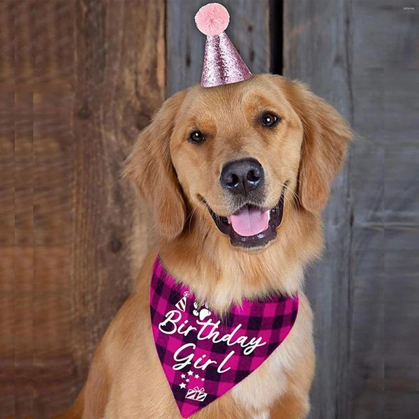 Abbigliamento per cani Set per feste di compleanno per animali domestici Cappello Sciarpa a triangolo Puntelli decorativi per festival femminili Pettorina rosa carina