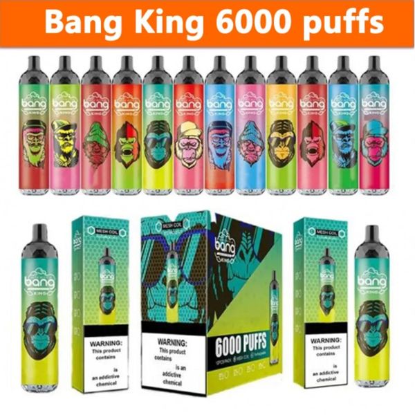 Original Bang King 6000 Puffs wiederaufladbare Einweg-Vape-Mesh-Spule, 0/2/3/5 % 850-mAh-Batterie, vorgefüllte 14-ml-Pods, Kartuschen, E-Zigaretten-Stiftgerät, 24 Geschmacksrichtungen