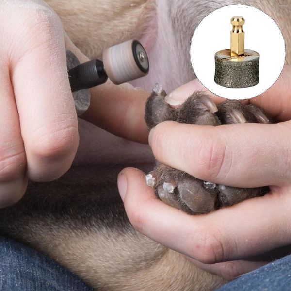 Vestuário para cães 5 peças moedor de unhas para animais de estimação patas ferramenta de preparação aparador cabeça de moagem acessórios ponta polidor roda