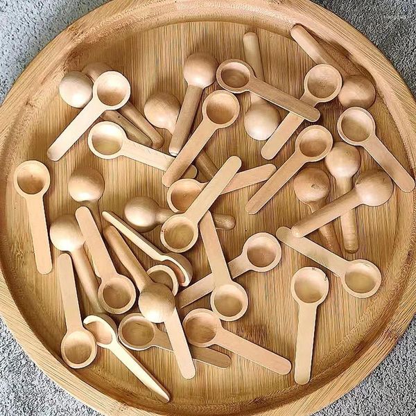 Cucchiai 10 pezzi Mini condimento da cucina in legno Miele Caffè Cottura Fagioli Sale Barattoli di spezie Misurazione