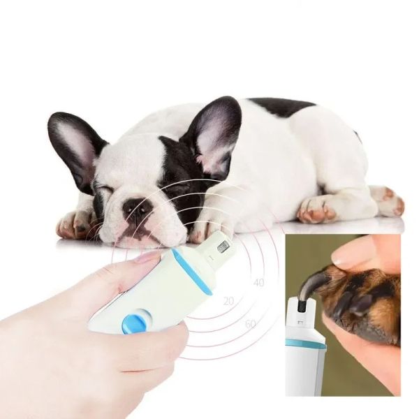 Kutular Ağrısız Pet Pençe Tırnak Aracı Naisl Köpek Tırnak Öğütücüleri Köpek Tırnak Clippers USB şarj edilebilir elektrikli evcil hayvan temizleme malzemeleri