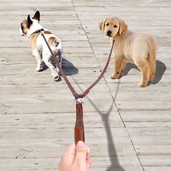 Trelas 2 cabeça trela de couro real cães acoplador corda de chumbo notangle trela dupla para 2 cães com alça pet andando cinto de treinamento