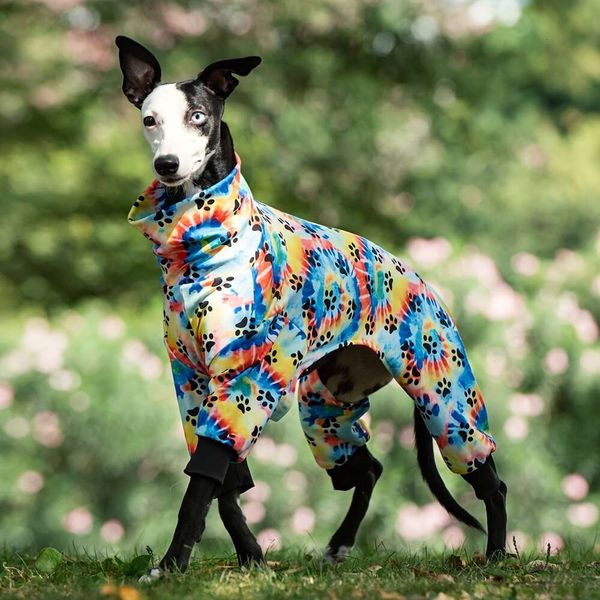 Mittelgroße Hundepfote gedruckter Windhund Pamas Jumpsuit Bodysuit