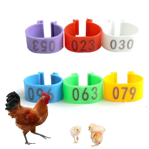 Trasportatori 100 Pz/borsa Allevamento di Pollame Pollo Oca Anatra Piede Anello di Colore di Plastica Per Identificare Strato di Plastica Broiler Con Il Numero 001100