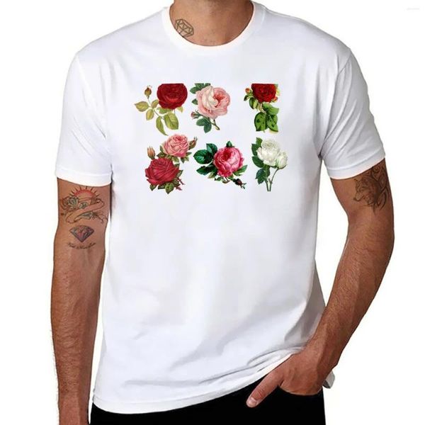 Regatas masculinas com estampa floral de várias rosas, camiseta engraçada, verão, plus size, treino para homens