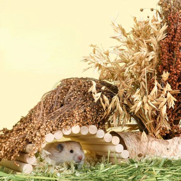 Spielzeug Hamster Getreide Snack Haustier Zahn Schleifen Stick dekorative Landschaftsbau liefert goldene Seide Bär Blume Zweig Ratte Nährstoff Getreide