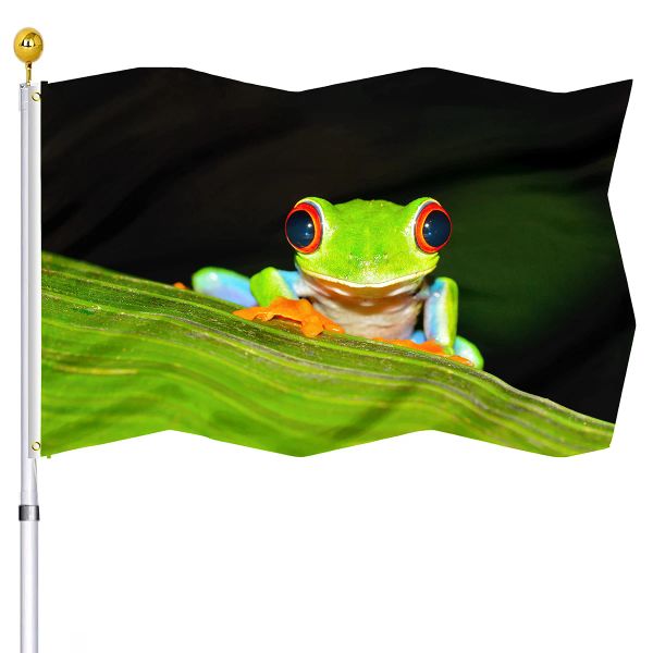 Acessórios Árvore Sapo Bandeira Dupla Costura Casa Bandeiras Animal Banner com Ilhós de Latão Casa Interior Quintal Decoração ao ar livre para Mulheres Homens Presentes