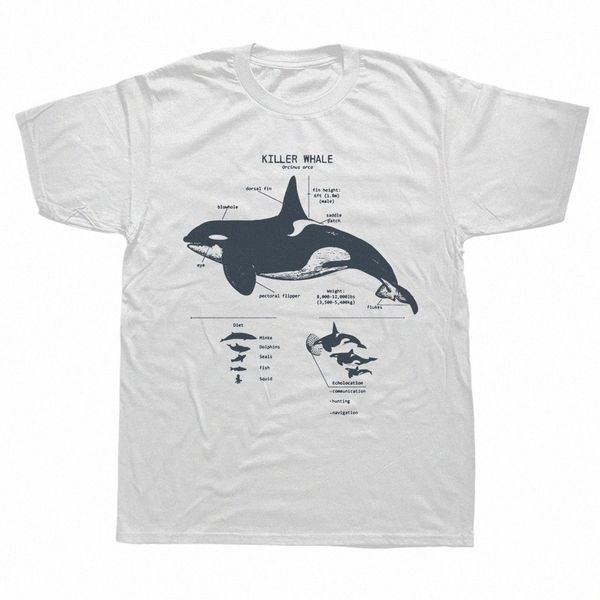 engraçado assassino baleia anatomia biologia marinha vida selvagem praia t camisas gráfico streetwear manga curta presentes de aniversário verão camiseta w6o5 #