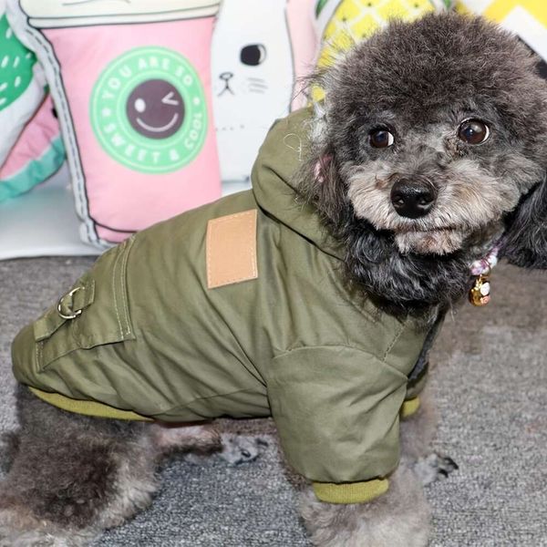 1 adet kalın kış katları sadece küçük köpekler, chuwawa, oyuncak kaniş, minyatür schnauzers, 20lb/9.07kg üzerindeki herhangi bir evcil hayvan için mevcut değil