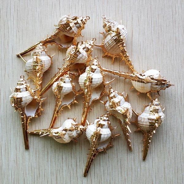 Atacado 12 pçs/lote conchas laterais cor de ouro natural para pingente diy concha bege artesanato acessórios de joias artesanais grátis 240311